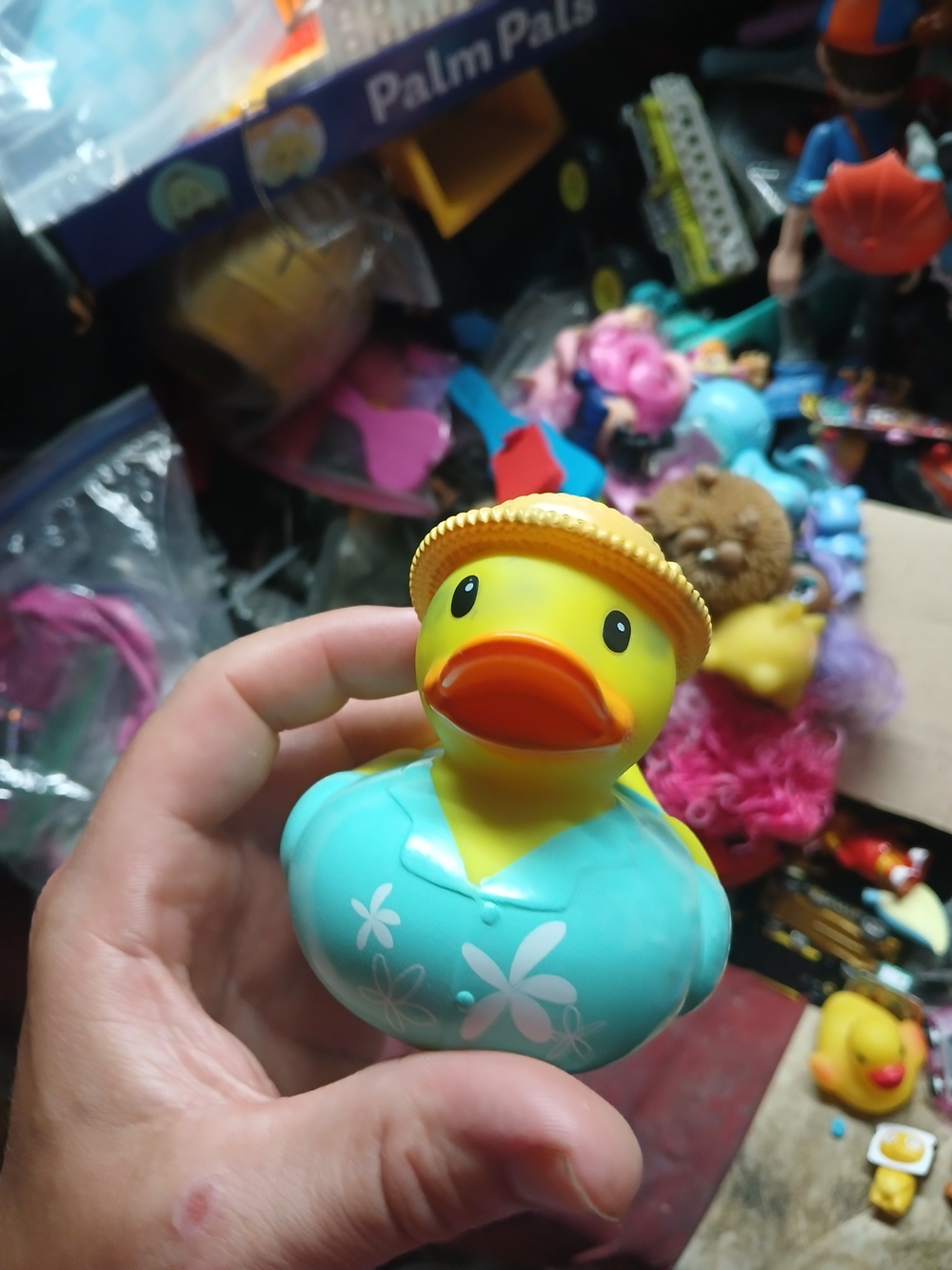 be an Infantino Vacation Rubber Ducky bath toy,